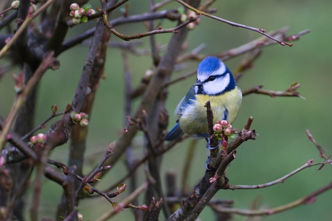 新乡公司注销材料 新乡公司注销材料