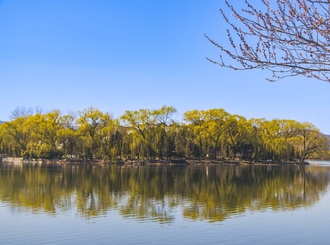 海口公司注销流程要准备的材料有哪些 海口公司注销流程要准备的材料有哪些