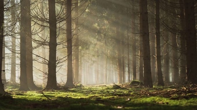 黄冈公司注册资本金有哪些出资方式