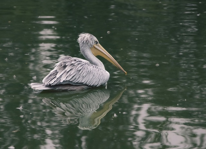 衡阳公司注册资本要实缴吗 衡阳公司注册资本要实缴吗