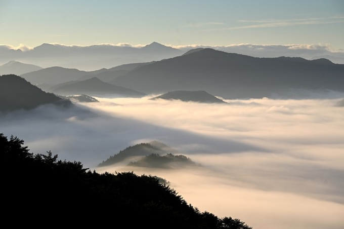 唐山商标注册申请去哪