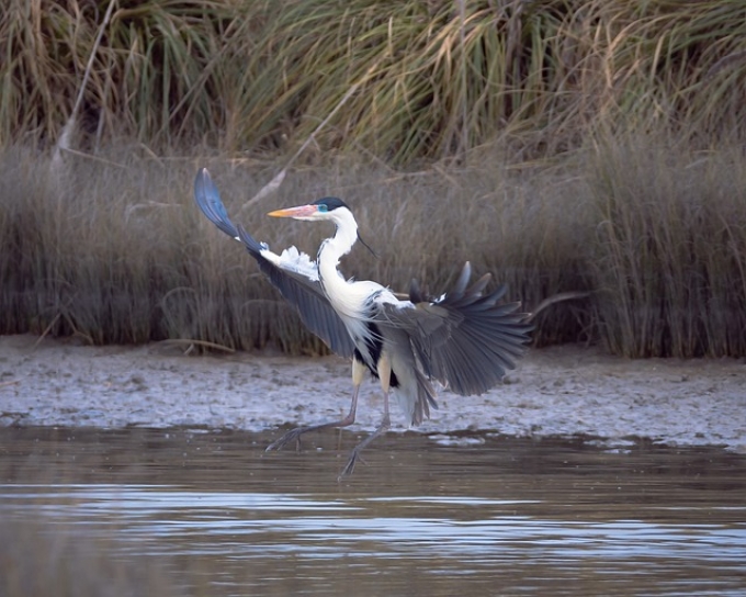 淮南公司注册地迁移有哪些影响 淮南公司注册地迁移有哪些影响