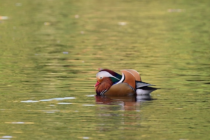 黔南企业进行公司注销清算的步骤 黔南企业进行公司注销清算的步骤