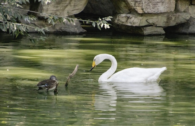 新乡公司注销材料 新乡公司注销材料