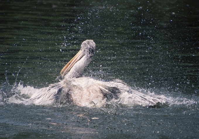 滁州公司注销程序 滁州公司注销程序