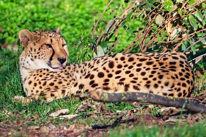 滁州有限公司注册公司的流程 滁州有限公司注册公司的流程