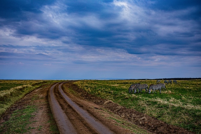 永州企业进行公司注销清算的步骤